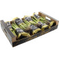 BIO ASPERGE VERTE 8X250G